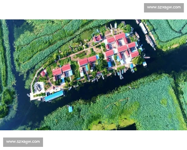 芜湖乡村文旅季 “村钓” 收竿:千顷碧波间的渔乐终章