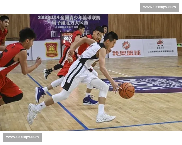 赖扬对阵艾因为中心的激战点燃篮坛热浪与荣耀之路的传说正在展开