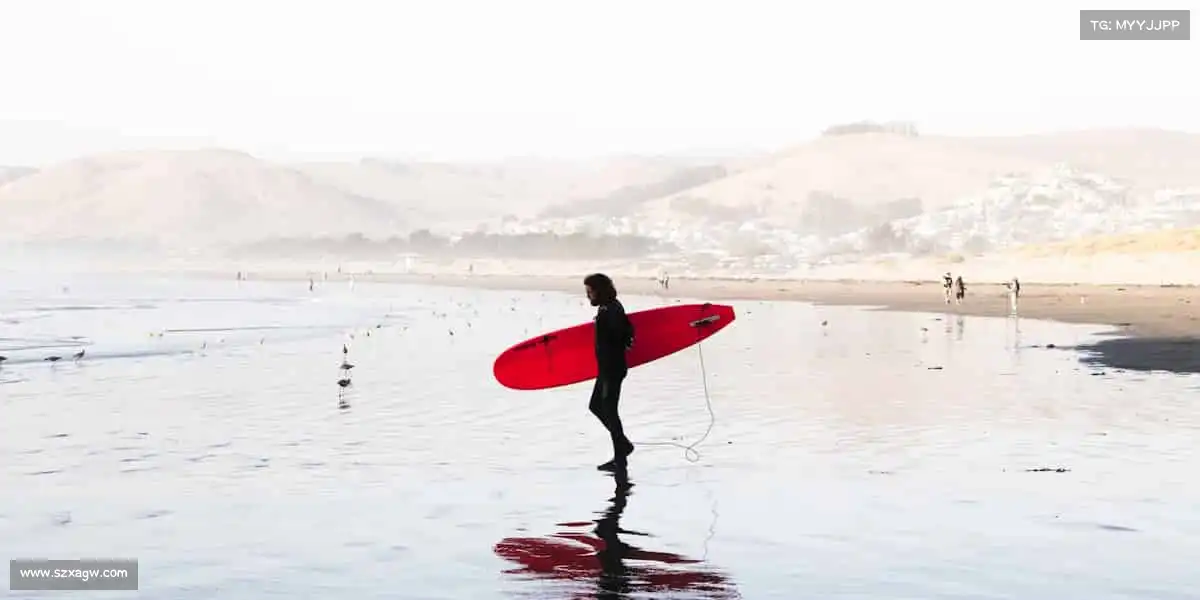 行业领先的理由